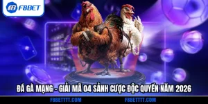 Đá gà mạng